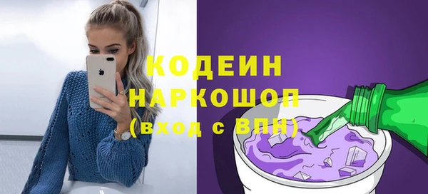 дурь Няндома