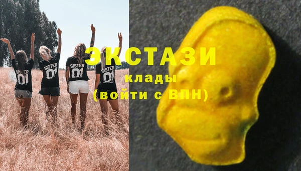дурь Няндома