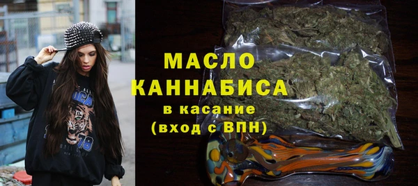 гидра Вяземский