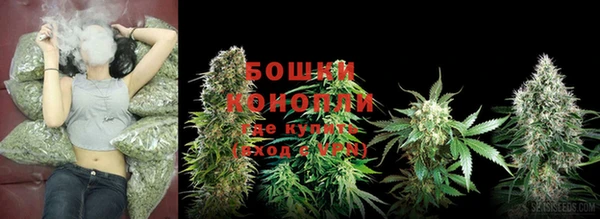 марки lsd Новозыбков
